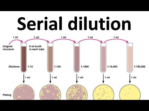 Two Fold Serial Dilution Method